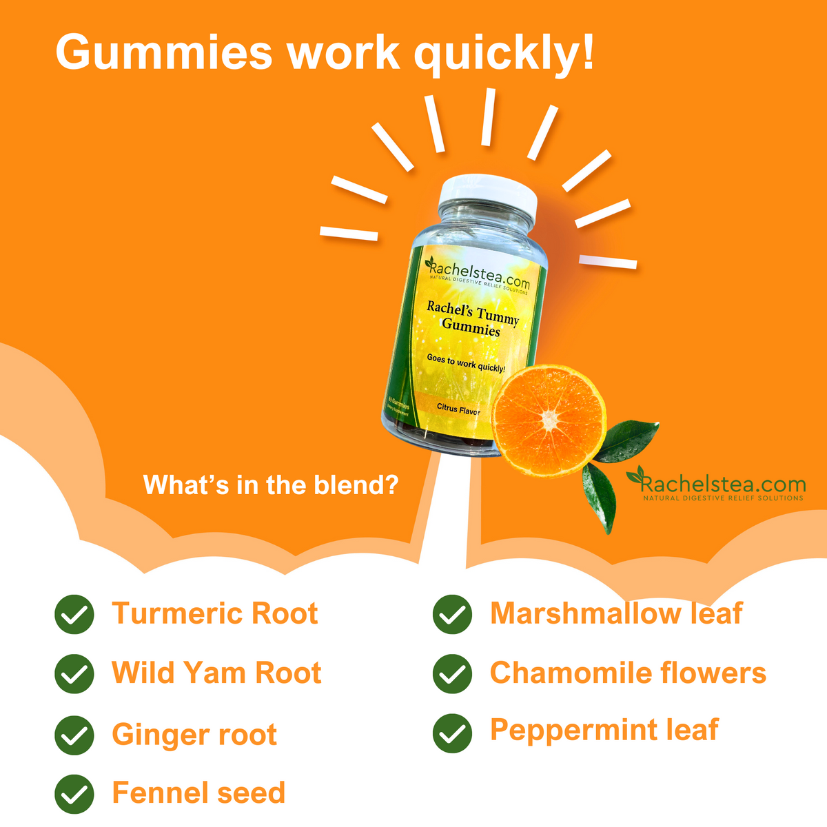 Rachel’s Tummy Gummies: Our family’s new addiction!!