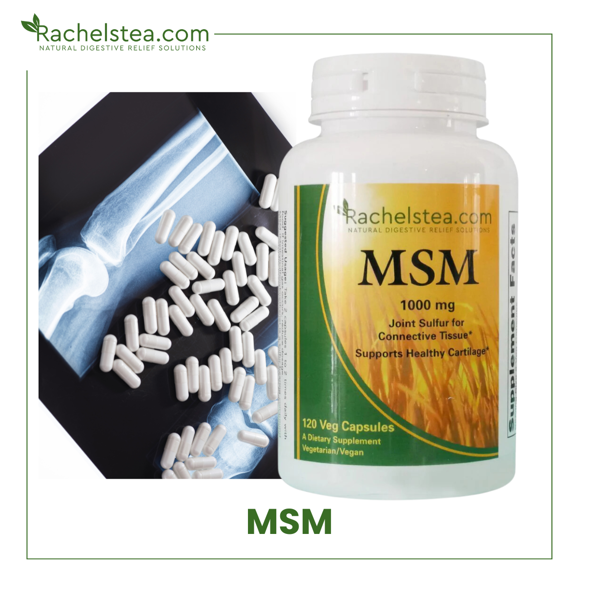 Methylsulfonylmethane Supplement (MSM Supplement 1000 mg Capsules)